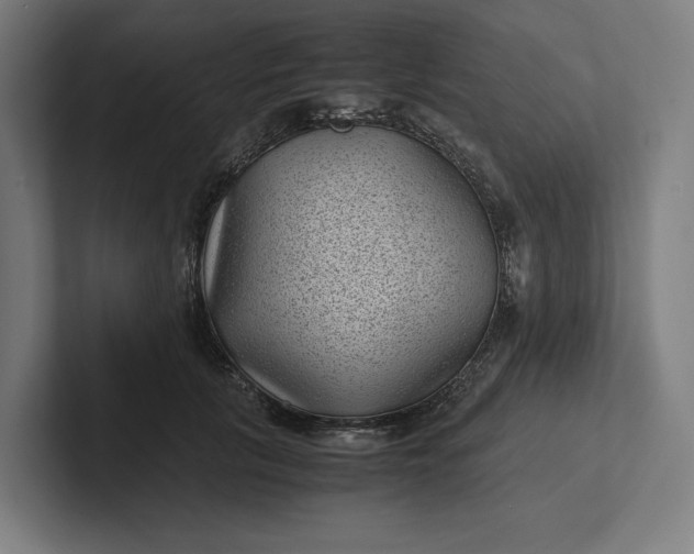 X0000101990657200808011102