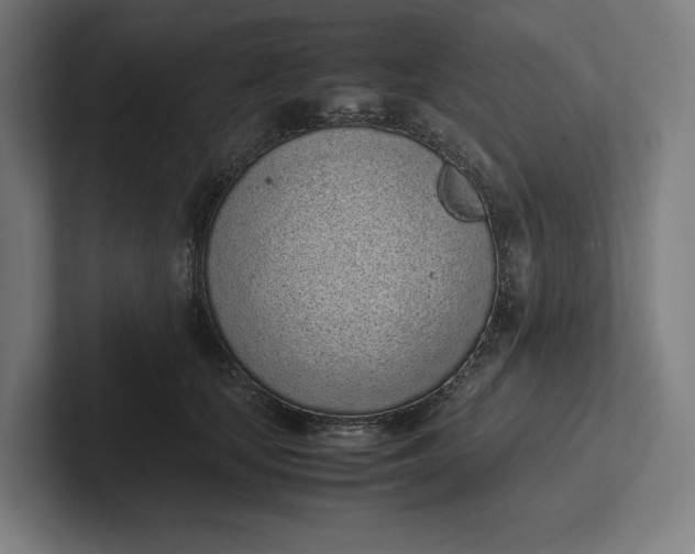 X0000101990659200808011102