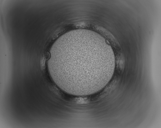 X0000101990660200808011102