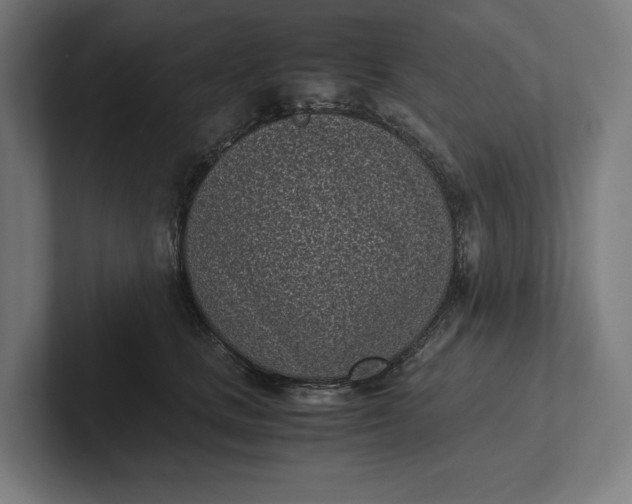 X0000101990661200808011102