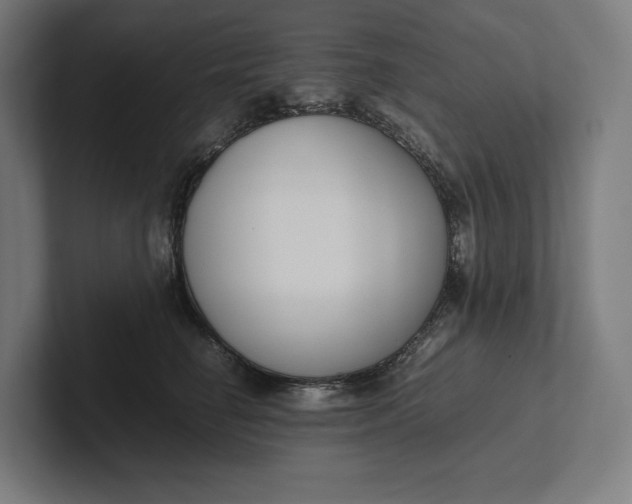 X0000101990662200808011102