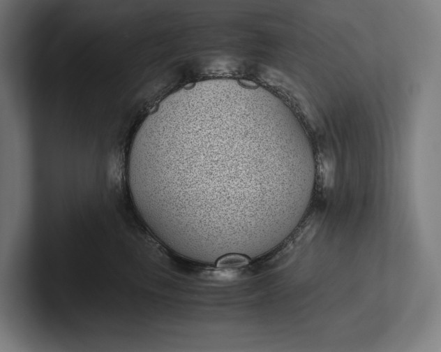 X0000101990665200808011102