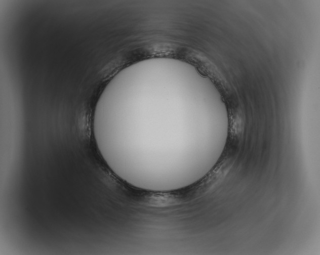 X0000101990666200808011102