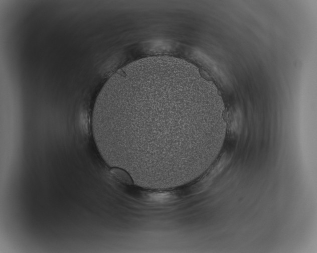 X0000101990669200808011102