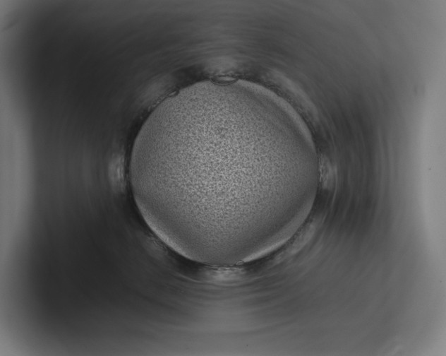 X0000101990670200808011102