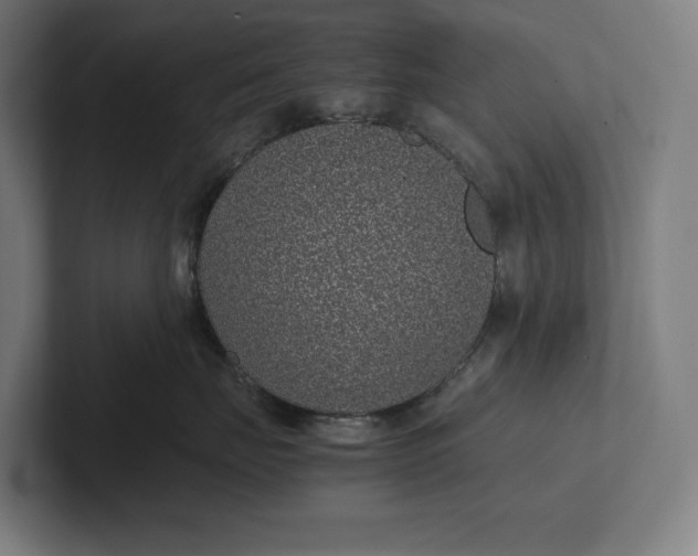 X0000101990671200808011102