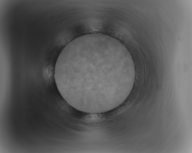 X0000101990672200808011102