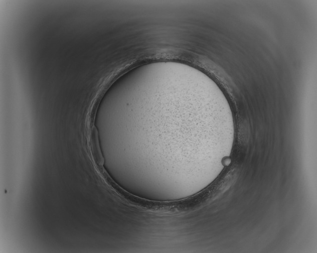 X0000101990673200808011102