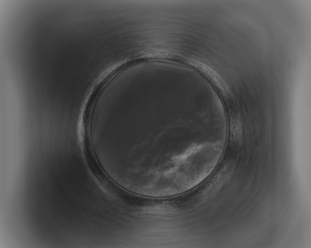 X0000101990674200808011102