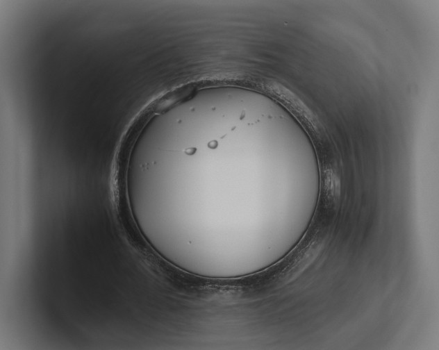 X0000101990676200808011102