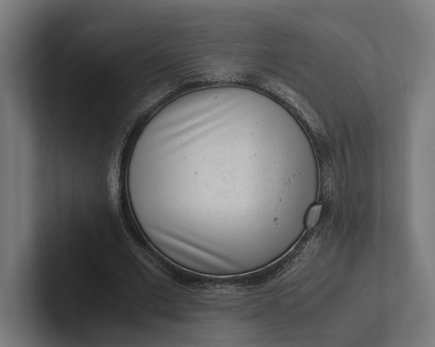 X0000101990677200808011102