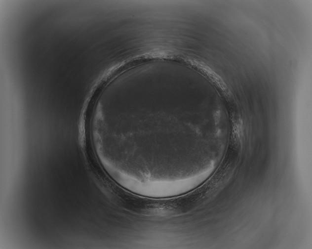 X0000101990678200808011102