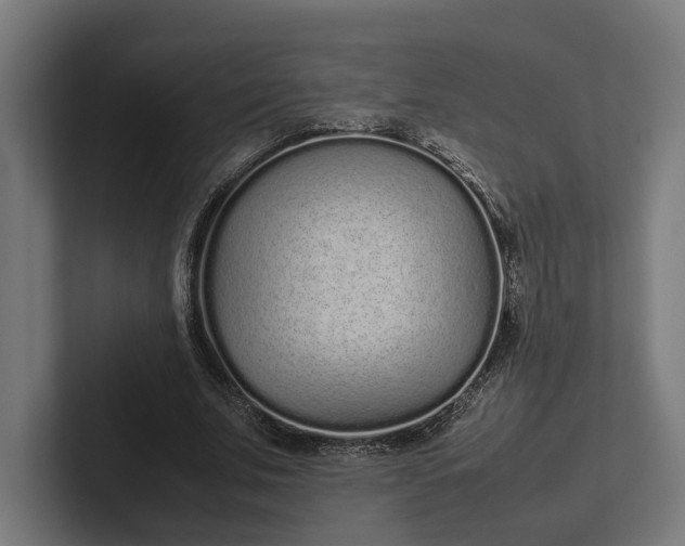 X0000101990679200808011102