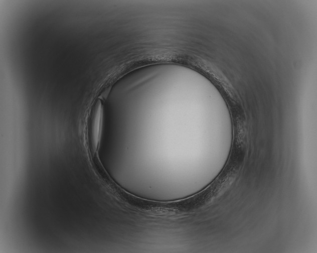 X0000101990681200808011102