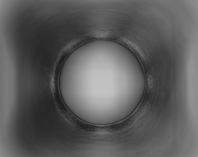 X0000101990682200808011101