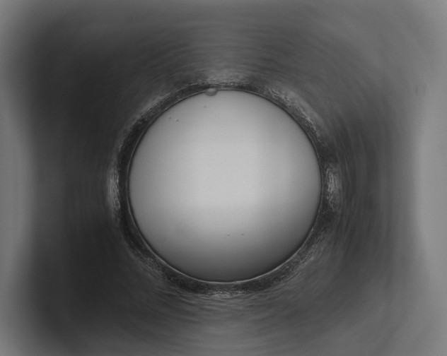 X0000101990684200808011101