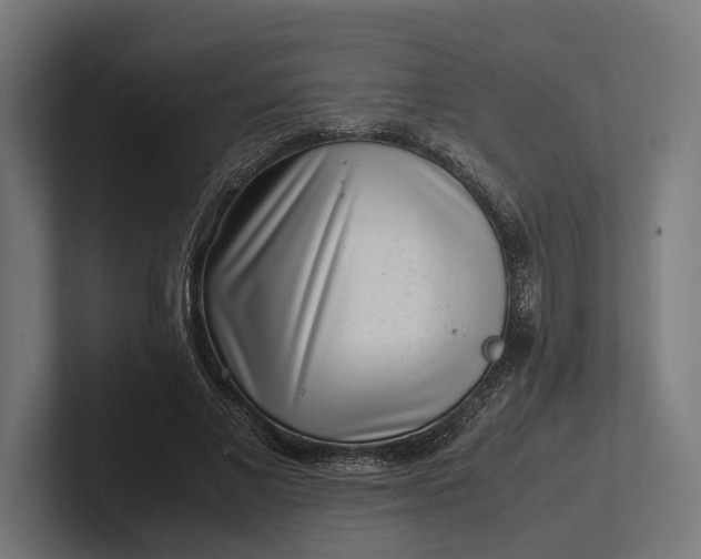 X0000101990685200808011101