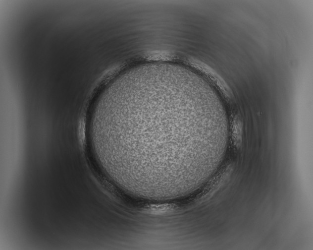 X0000101990686200808011101