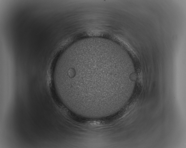 X0000101990687200808011101