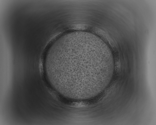 X0000101990688200808011101