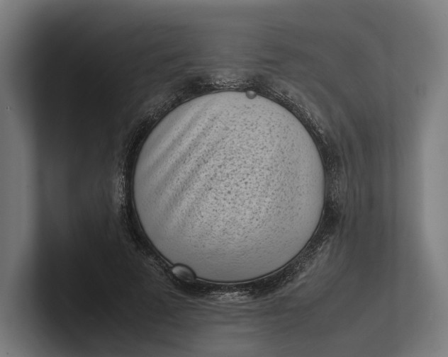 X0000101990689200808011101