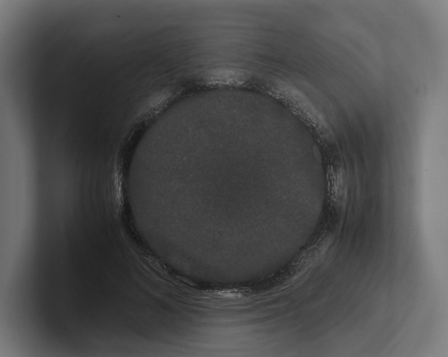 X0000101990692200808011101