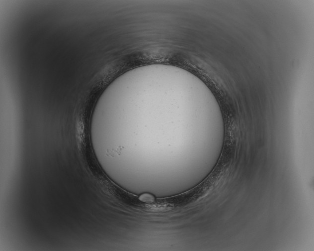 X0000101990693200808011101