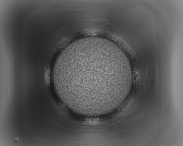 X0000101990694200808011101