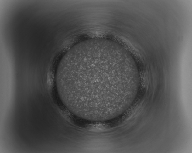 X0000101990695200808011101