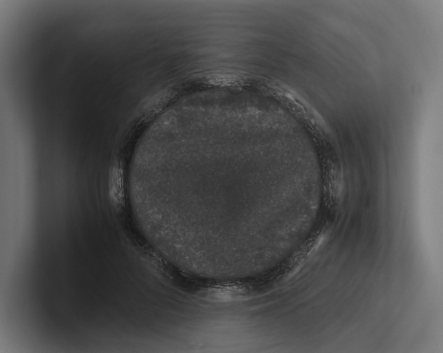 X0000101990696200808011101