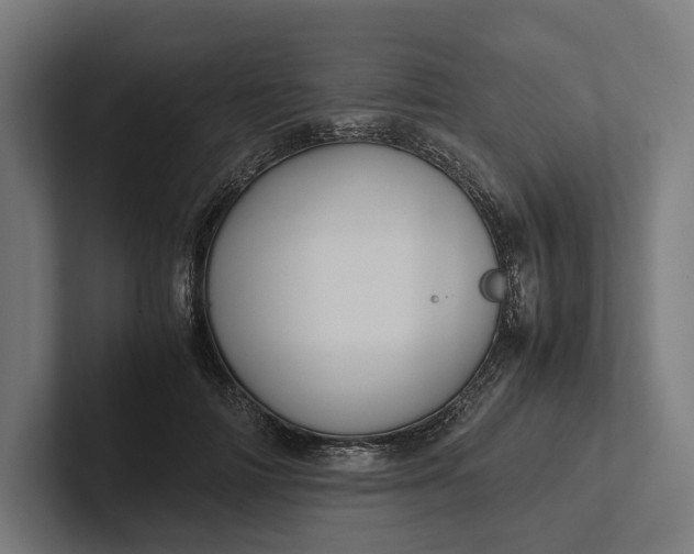 X0000101990698200808011101