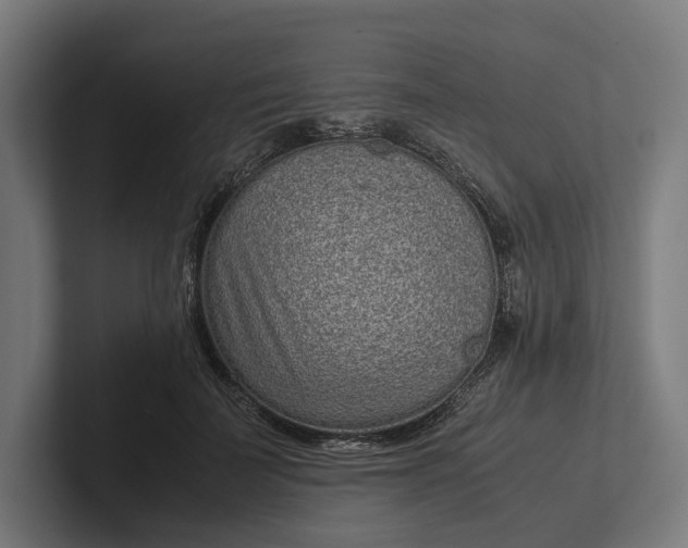 X0000101990699200808011101