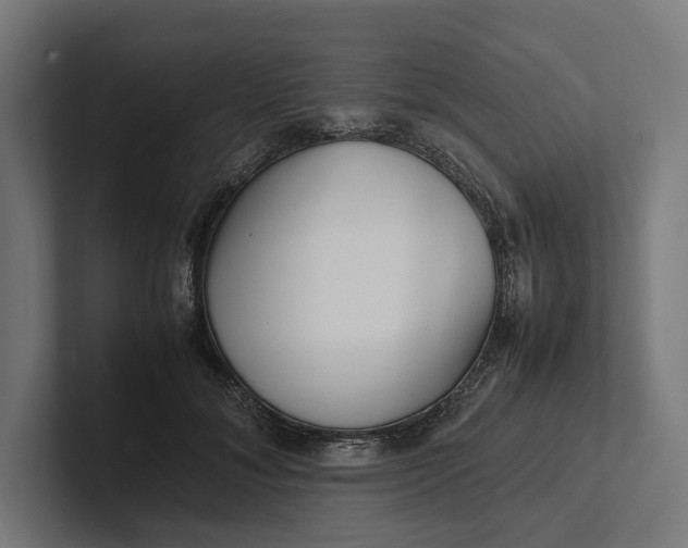 X0000101990700200808011101