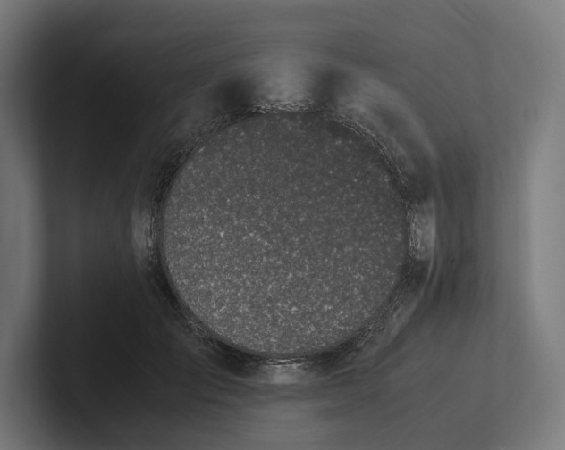 X0000101990701200808011101