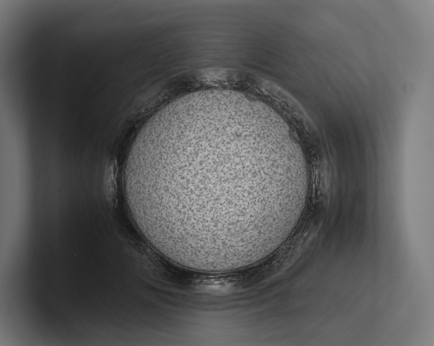 X0000101990702200808011101