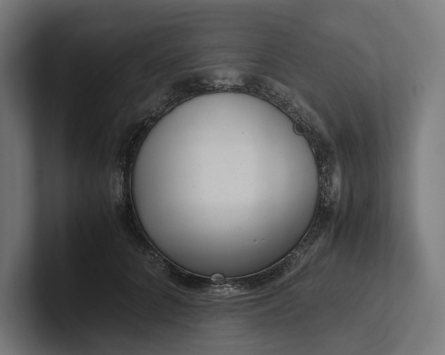 X0000101990704200808011101