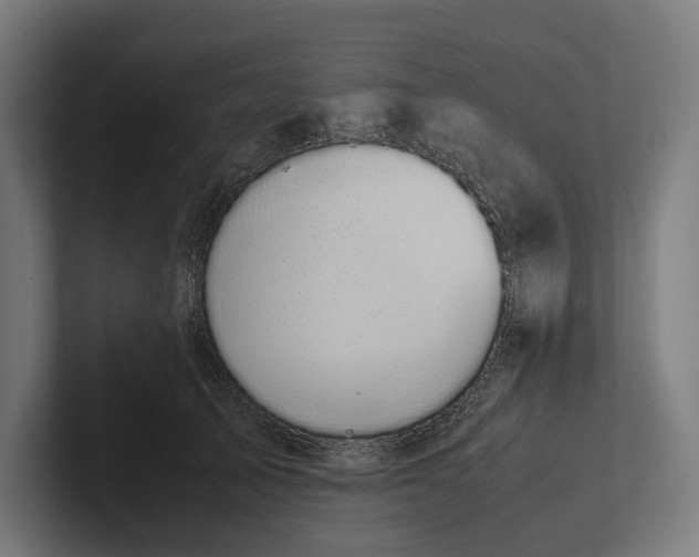 X0000101990705200808011101