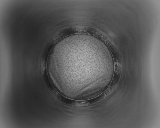 X0000101990707200808011101