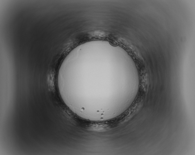 X0000101990708200808011101