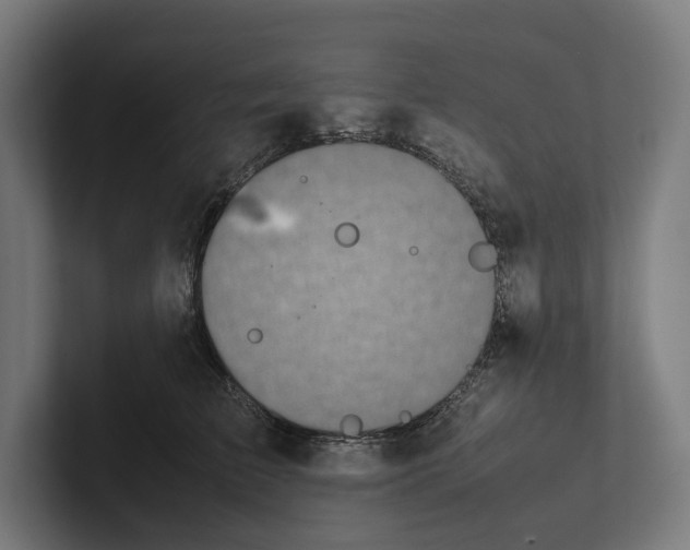 X0000101990709200808011101