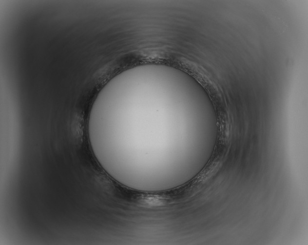 X0000101990710200808011101