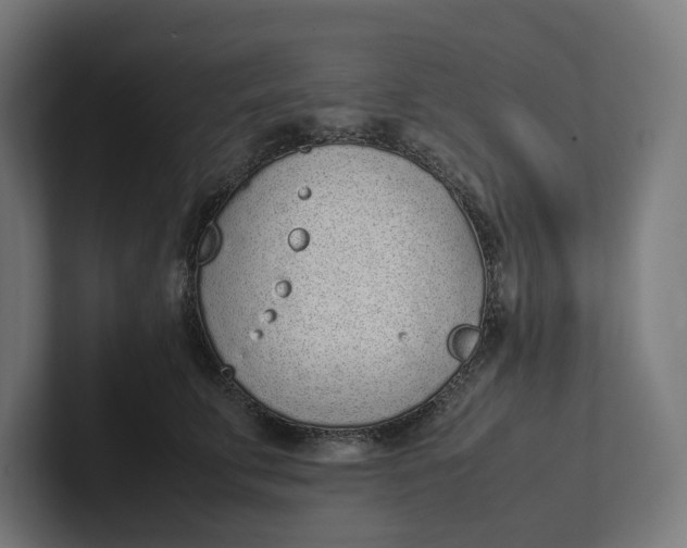 X0000101990711200808011101