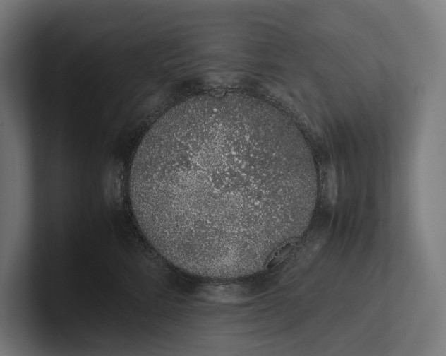 X0000101990712200808011101