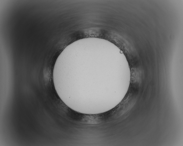 X0000101990713200808011101