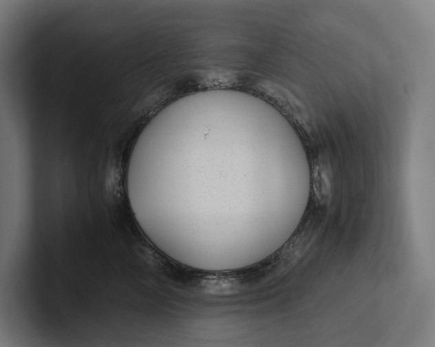 X0000101990714200808011101