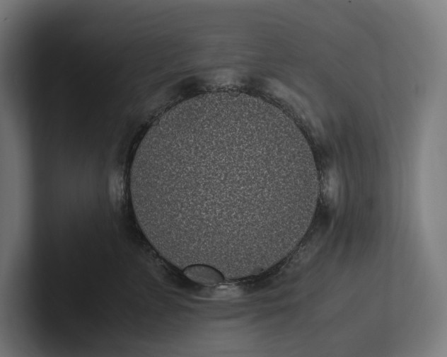 X0000101990715200808011101