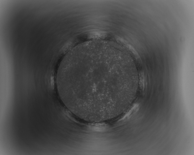 X0000101990716200808011101