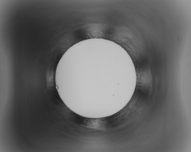 X0000101990717200808011101