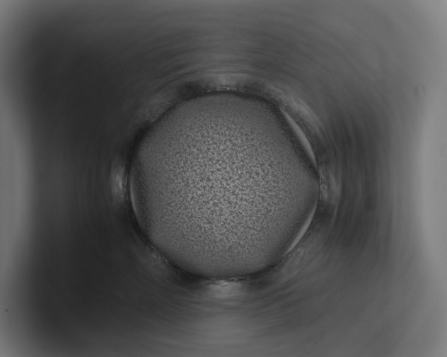 X0000101990718200808011101