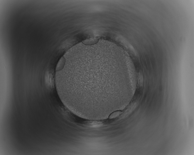 X0000101990719200808011101